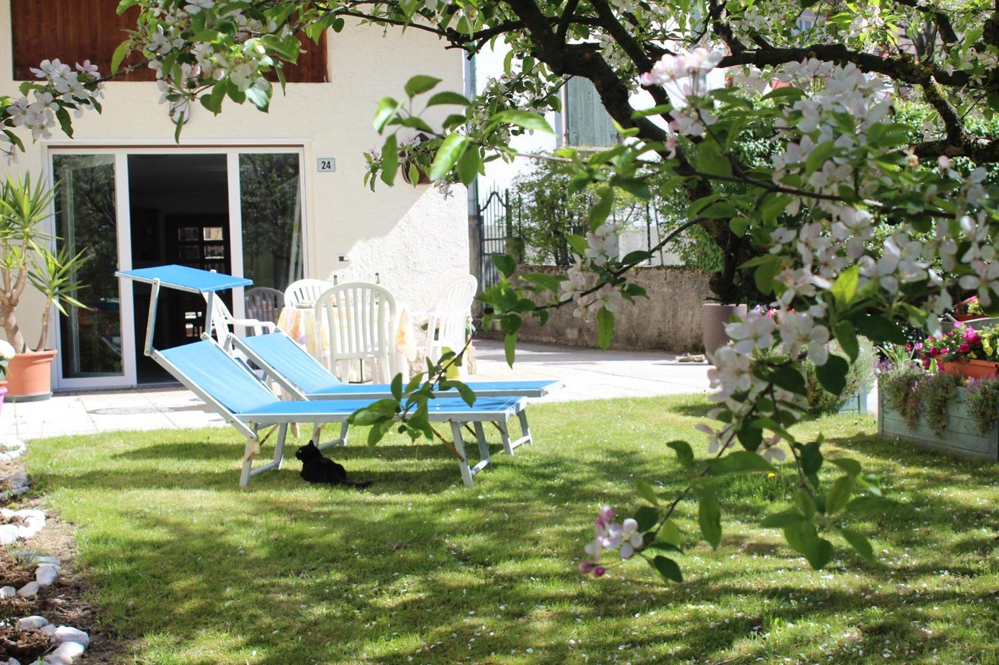 Residence Zecchini Tiarno di Sotto Chambre photo